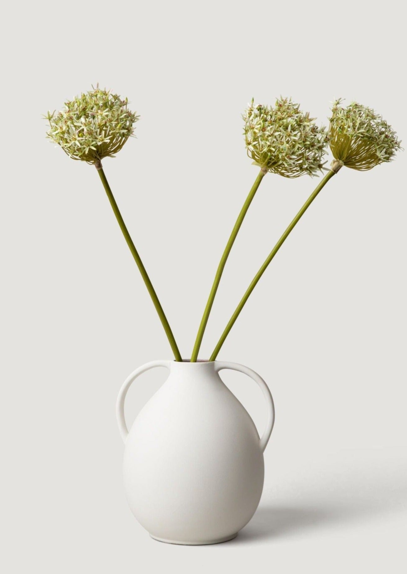 White Clay Jug with Allium Flowers