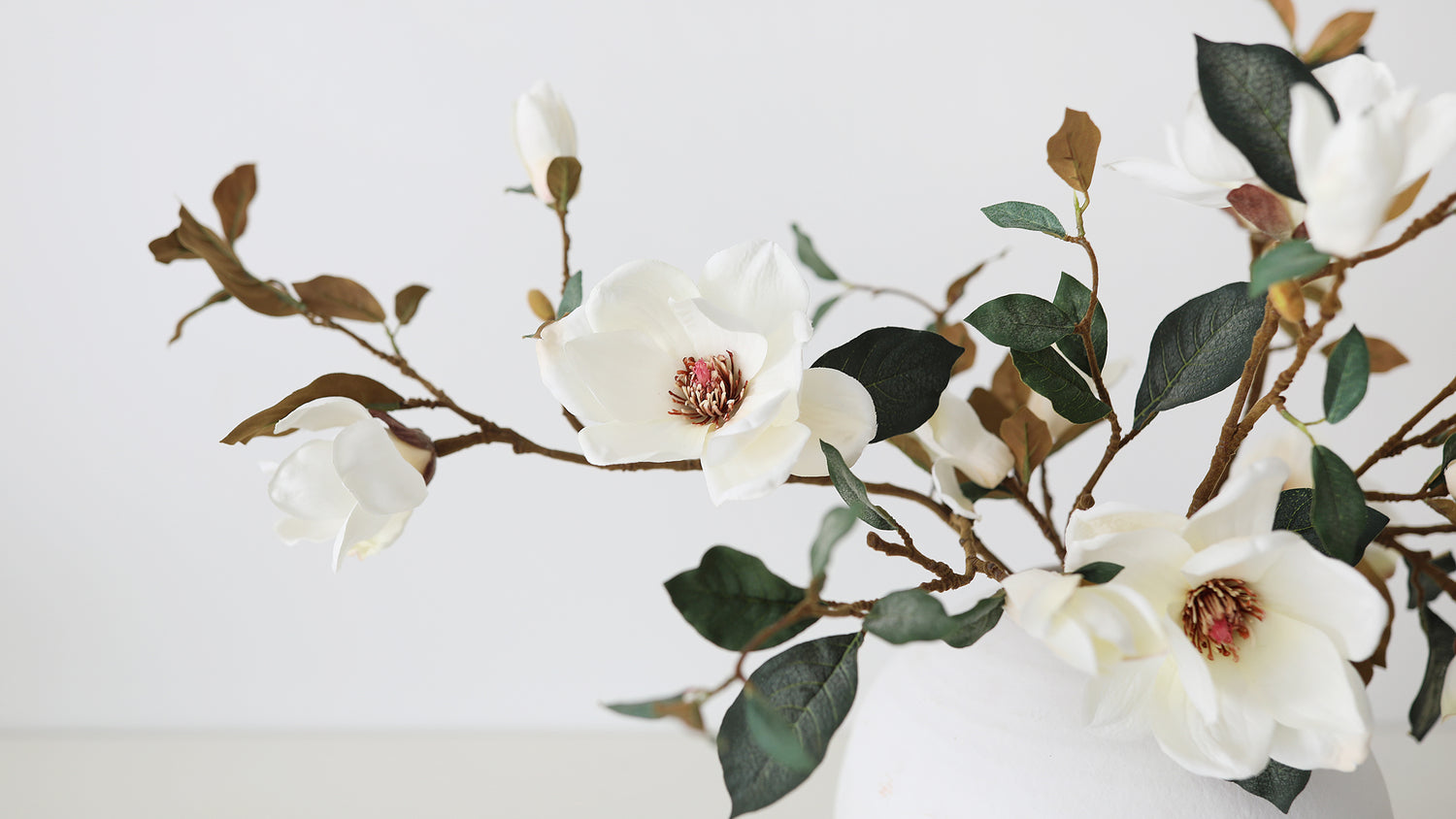 closeup magnolia bloom