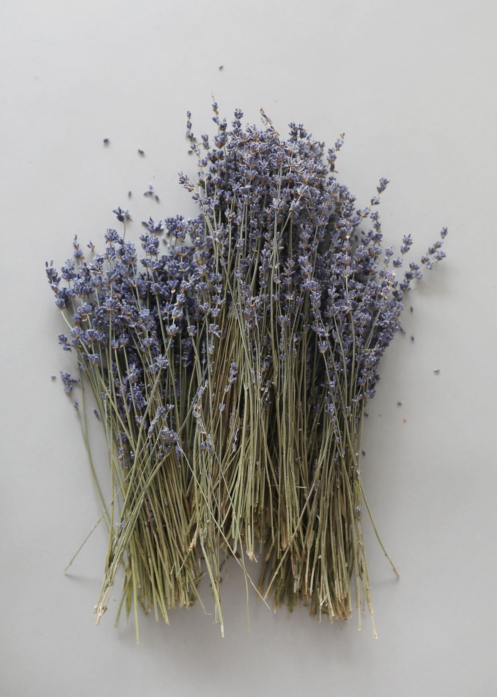 Natural Dried Lavender for Home Decorating