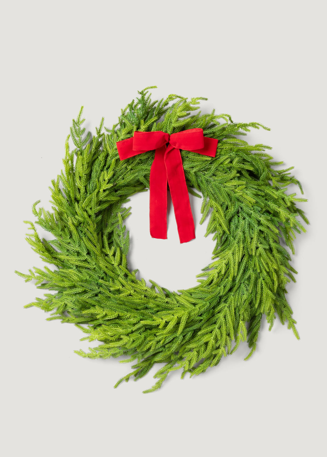 Norfolk Wreath with Red Bow