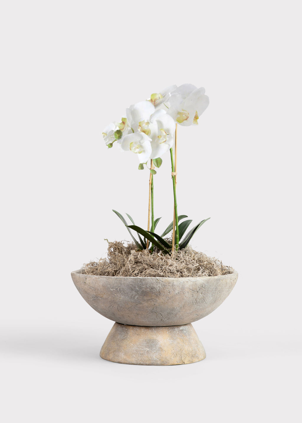 Faux Orchid House Plant