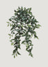 Hanging Ruscus Bush