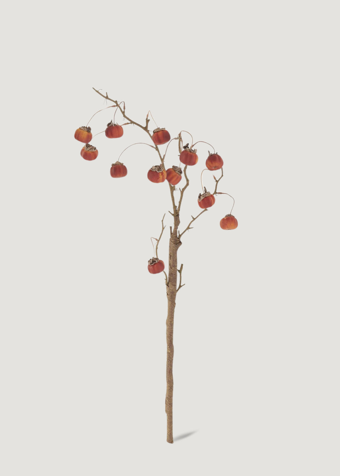 Orange Mini Pumpkins Branch