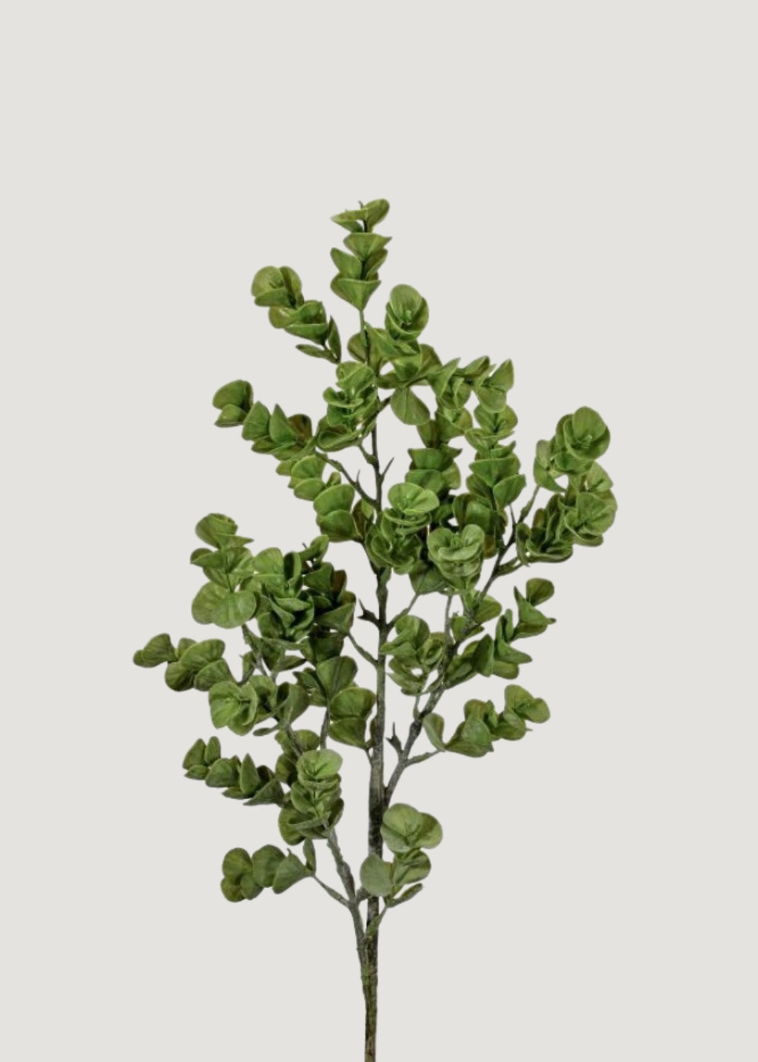 Real Touch Eucalyptus Leaf Branch