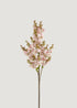 Blooming Lilac Branch