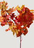 Preserved Fall Oak Leaves 