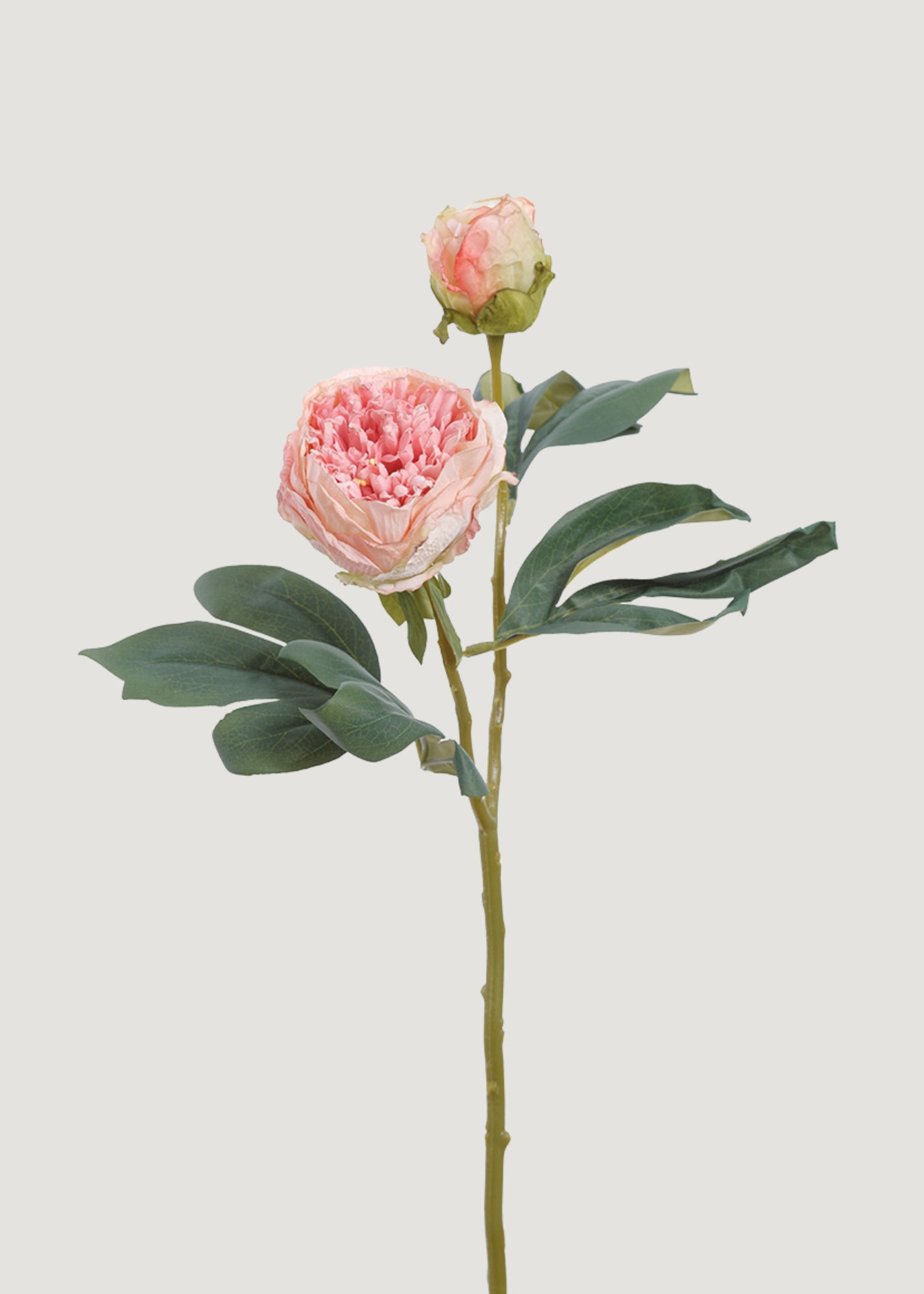 Dried Look Artificial Peony