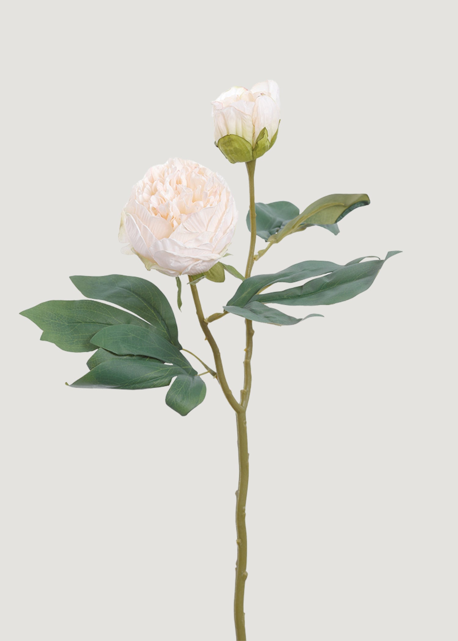 Dried Look Faux Peony 