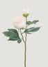Dried Look Faux Peony 
