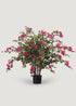 Faux Blooming Bougainvillea Potted Arrangement