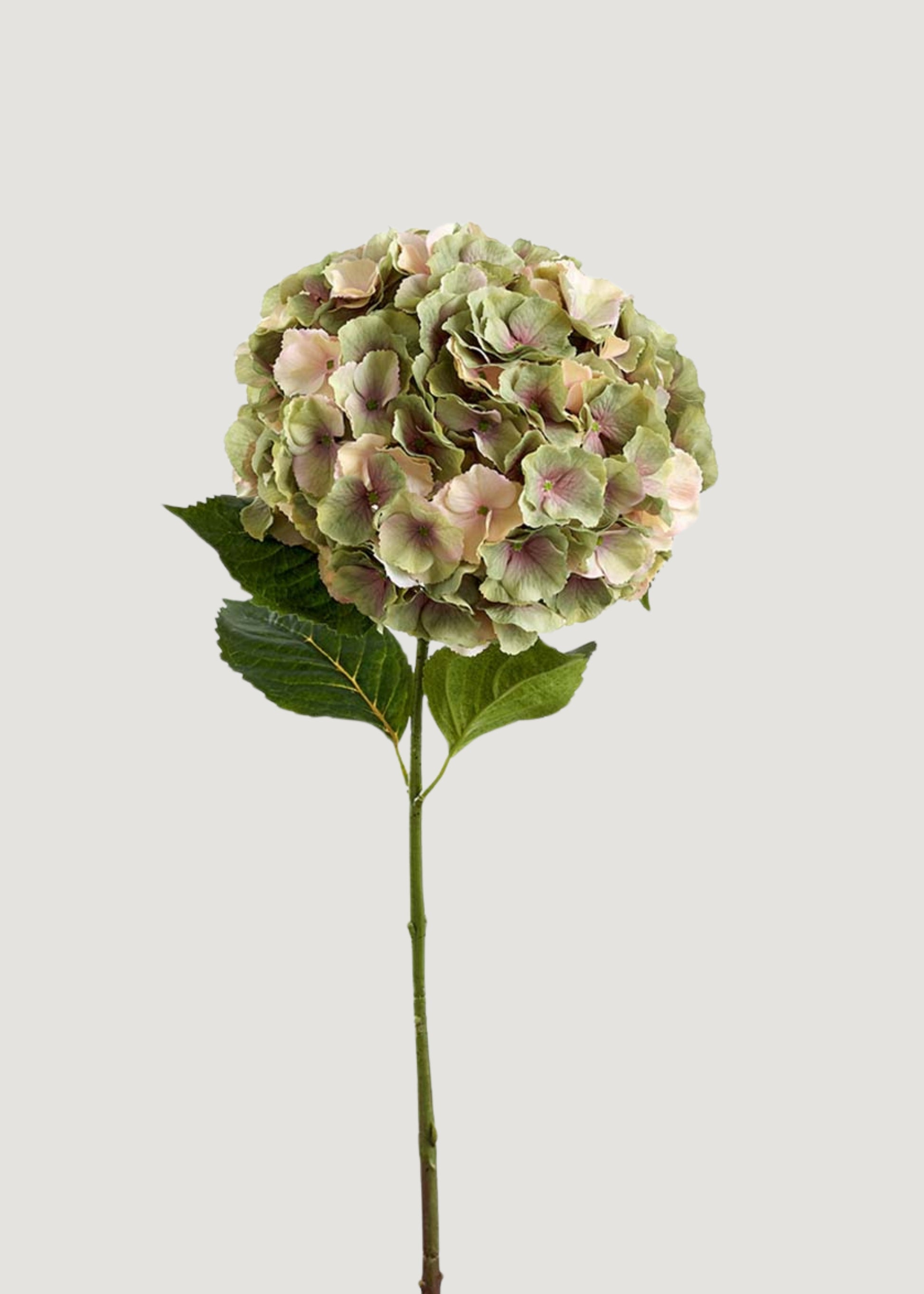 Large Vintage Green and Mauve Fake Hydrangea Flower - 11" Bloom