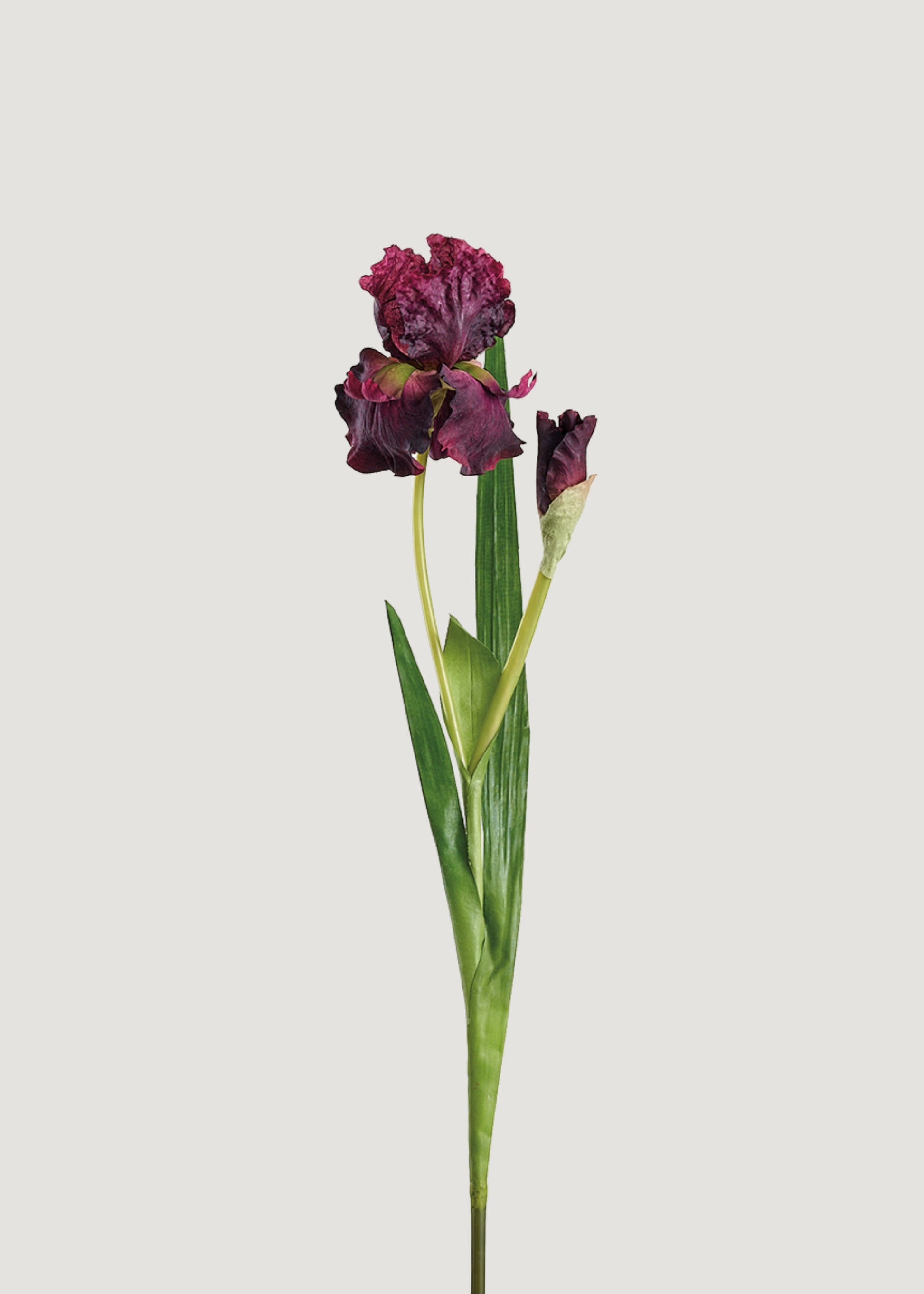 Deep Plum Purple Artificial Iris