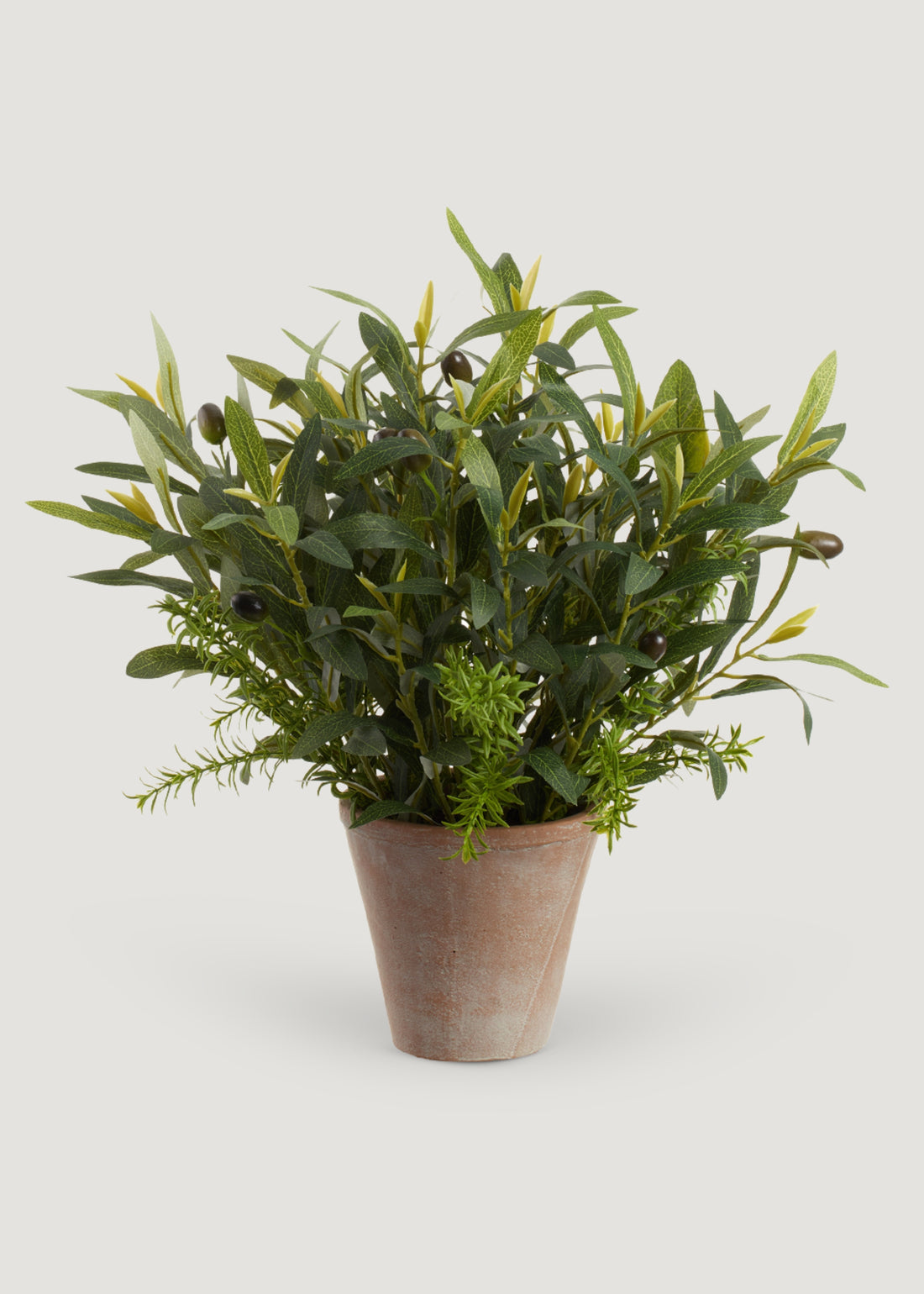Faux Olive Leaf and Rosemary Plant in Cement Pot 

