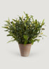 Faux Olive Leaf and Rosemary Plant in Cement Pot 
