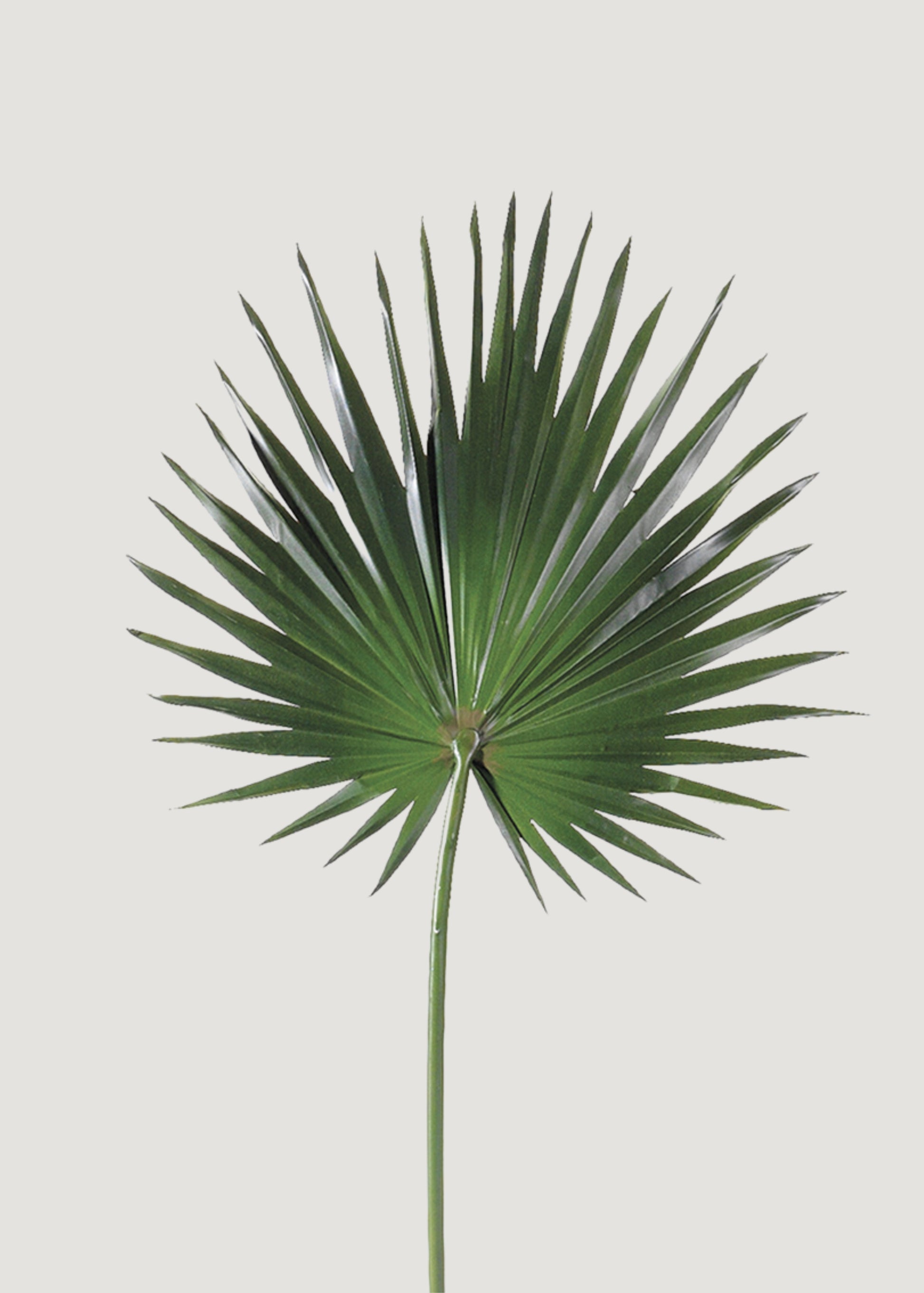 faux palm leaf plant Artificial Fan Palm Leaf