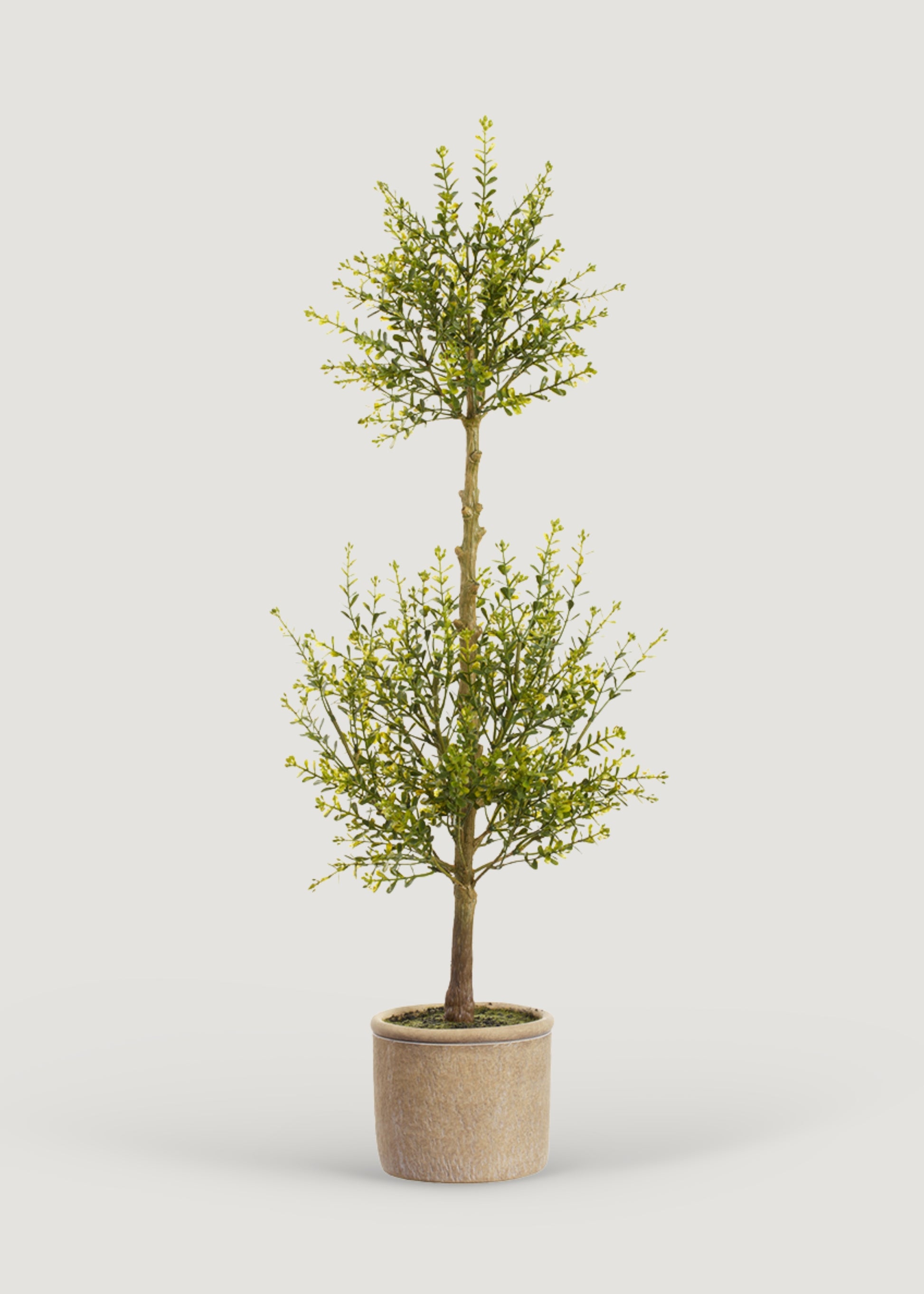 Artificial Myrtle Leaf Topiary Plant in Cement Pot