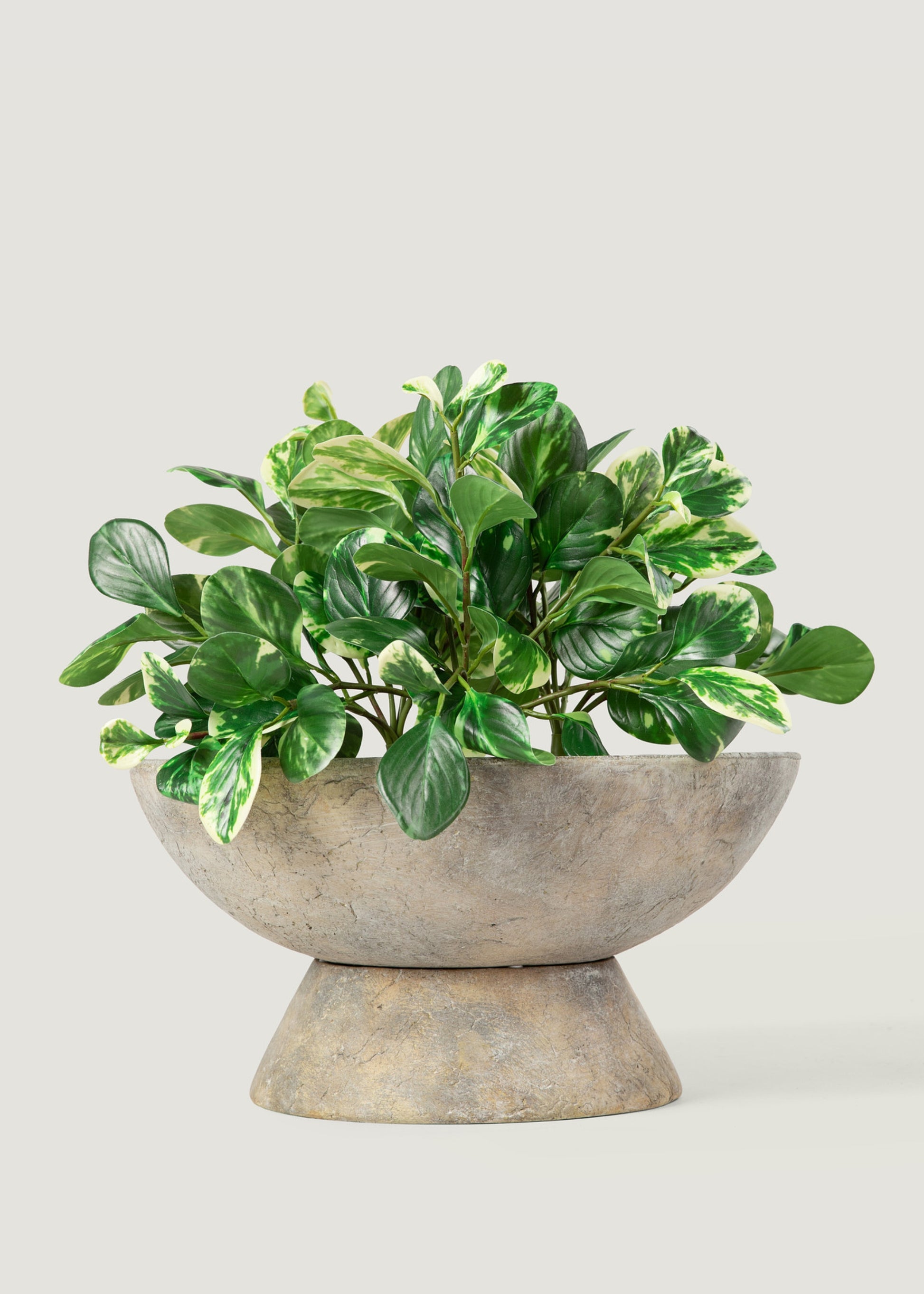 large artificial plants for indoors Small Artificial Peperomia Plant in Variegated Green