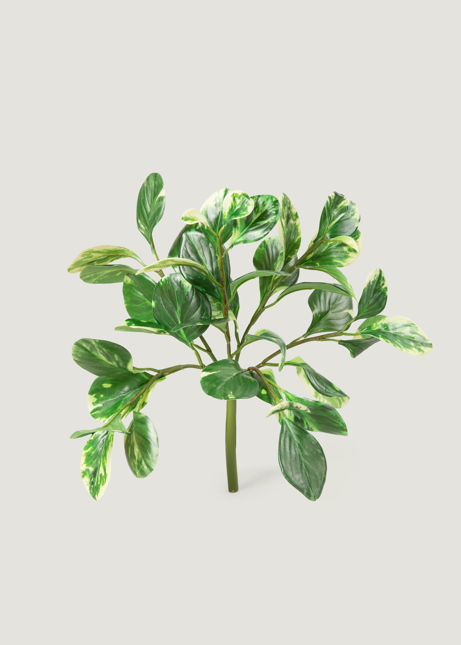 small indoor artificial plants Small Artificial Peperomia Plant in Variegated Green