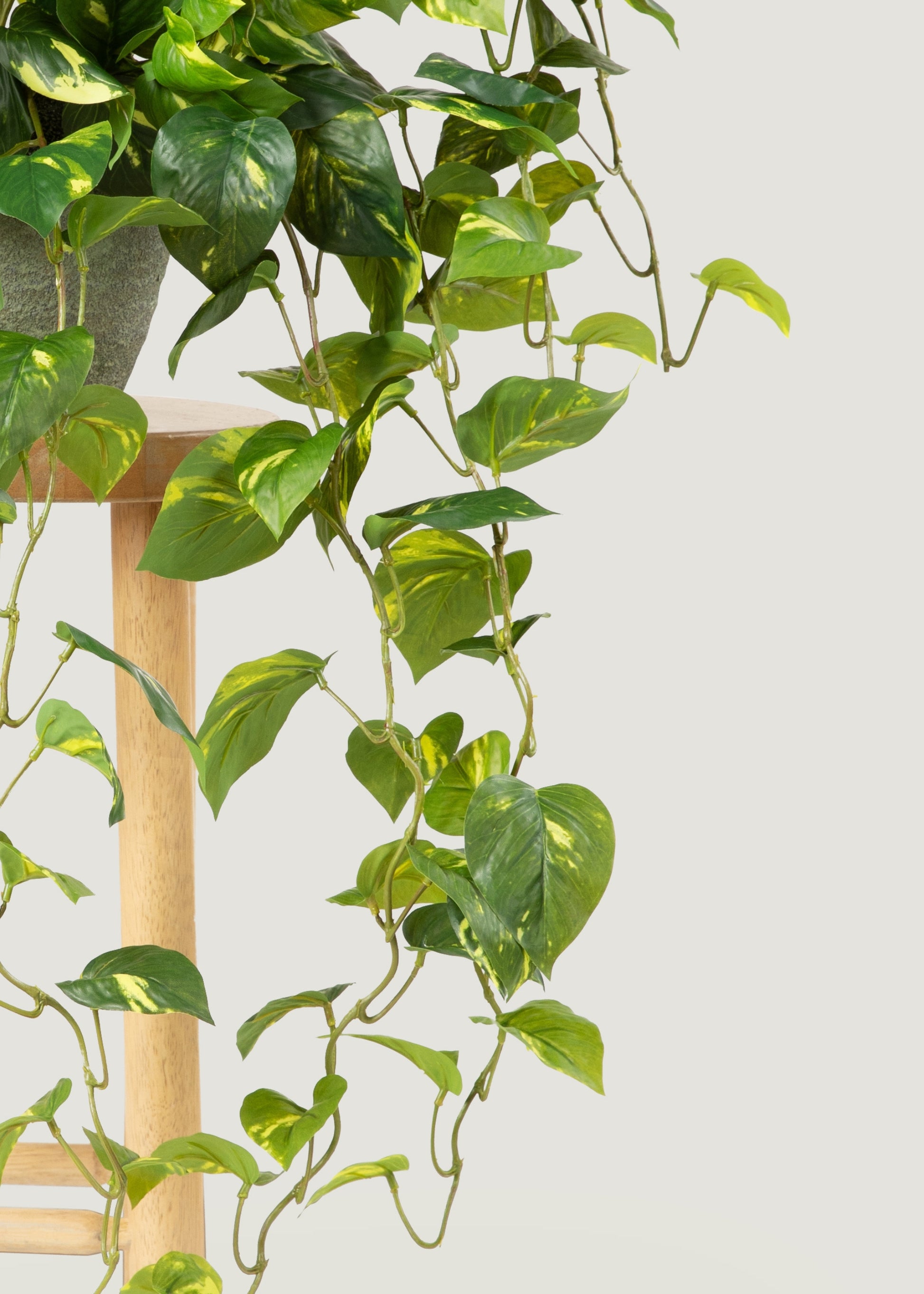 real hanging plants Deluxe Real Touch Pothos Fake Hanging Plant