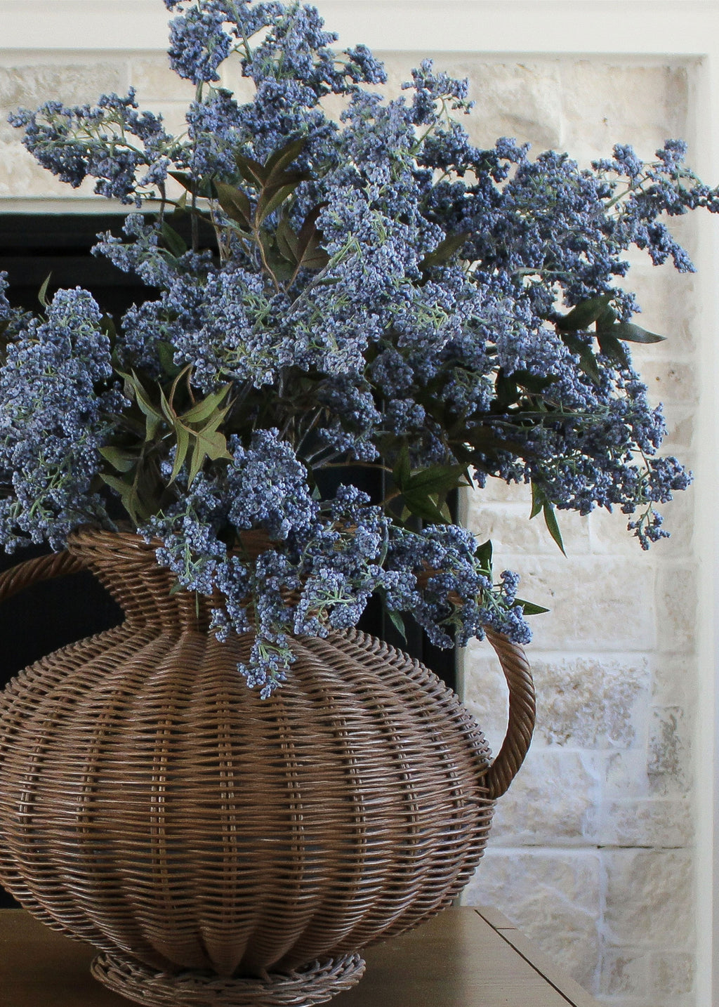 Blue Berry Branches