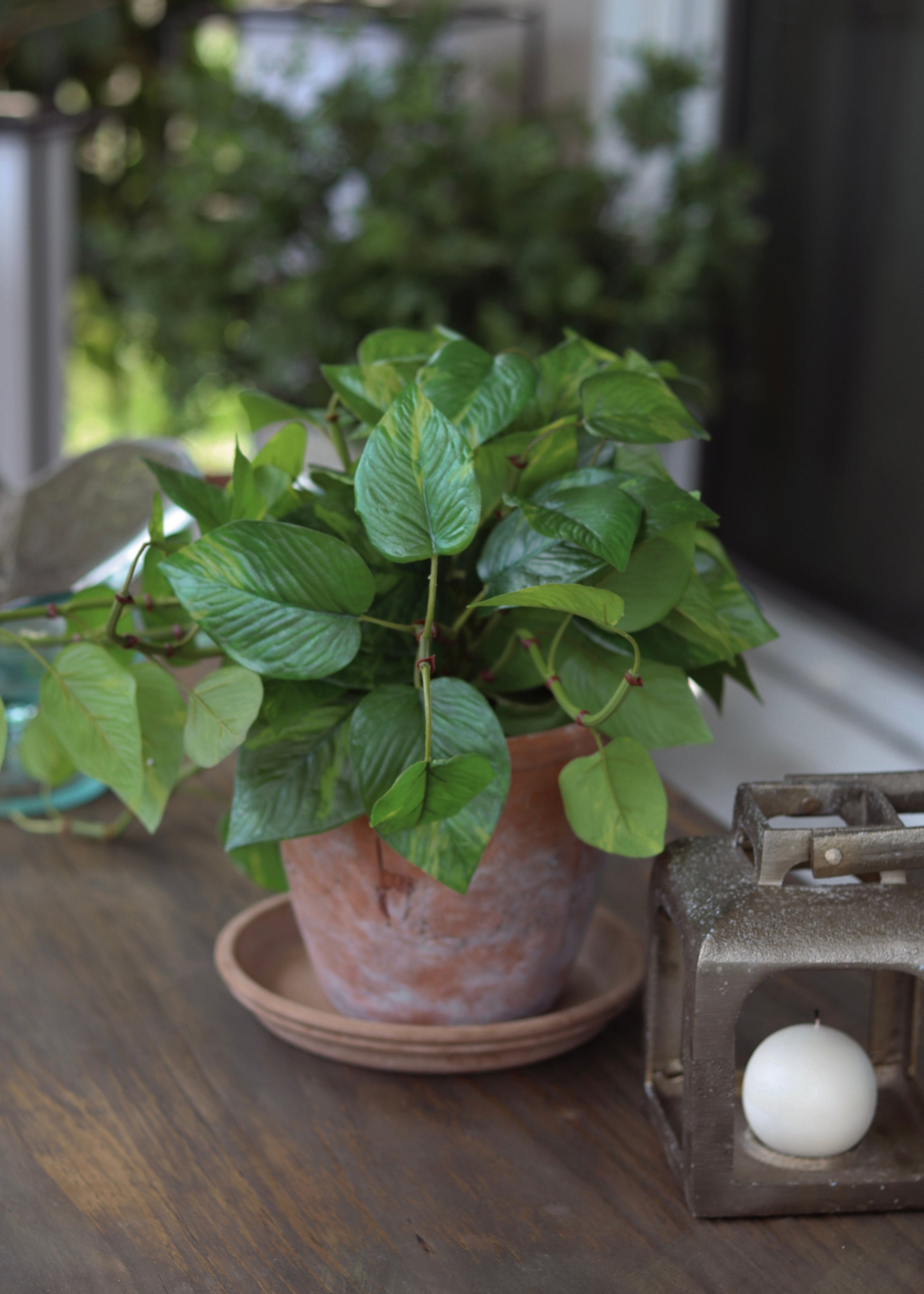 Outdoor Pothos Real Touch Potted Plant 