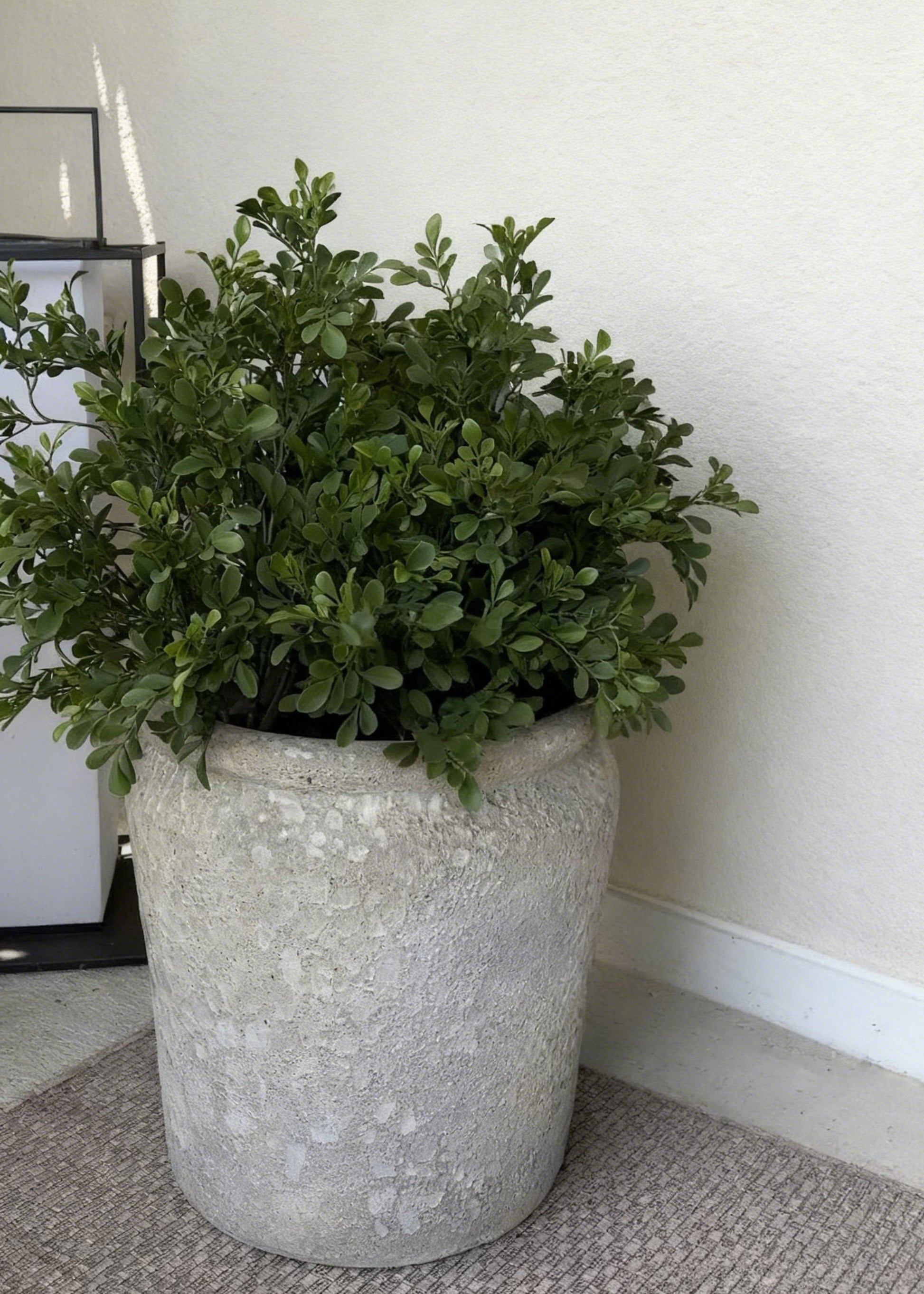 fake boxwood plant