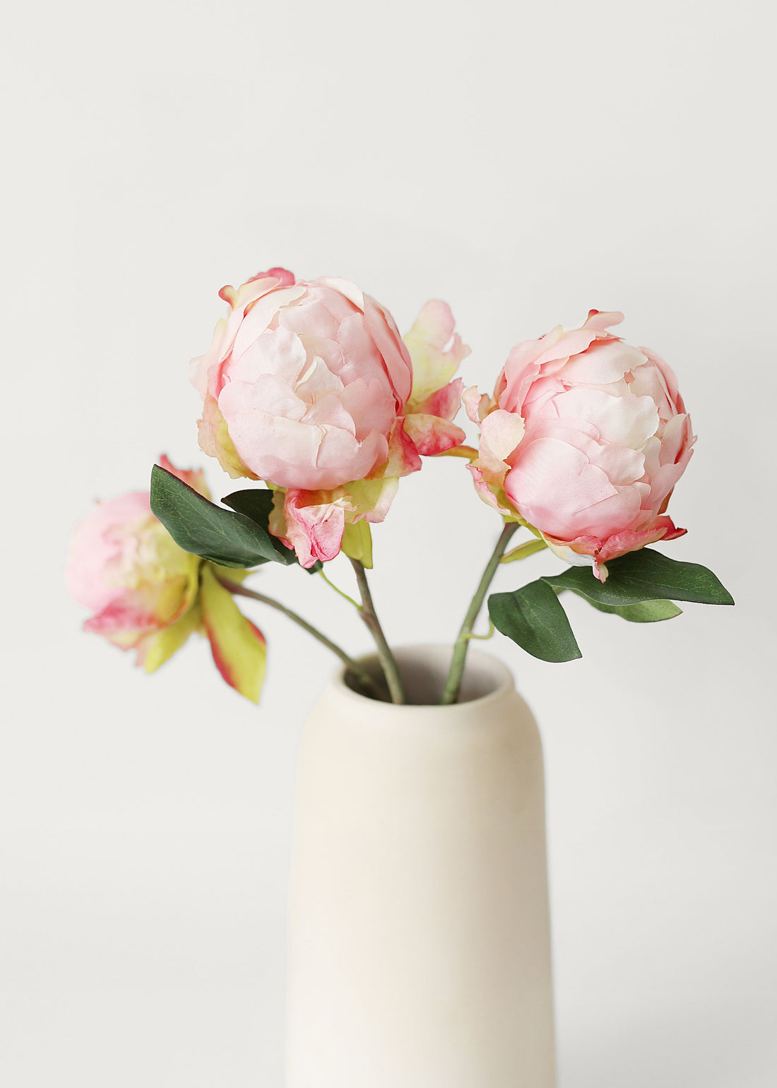 Bundle of 3 pink peony buds