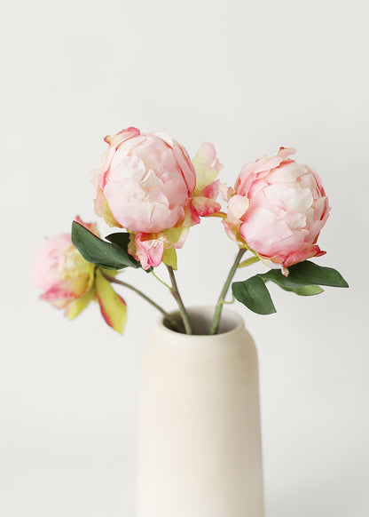 Bundle of 3 pink peony buds