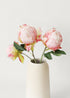 Bundle of 3 pink peony buds