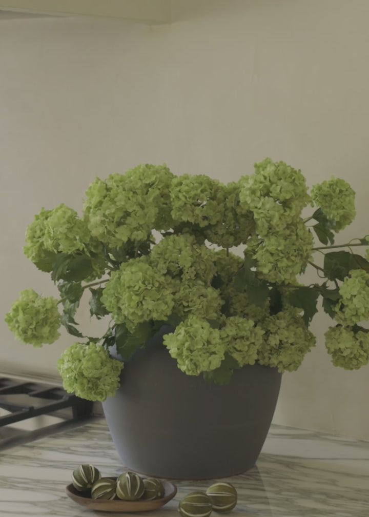 Video of Artificial Green Snowball Flowers 