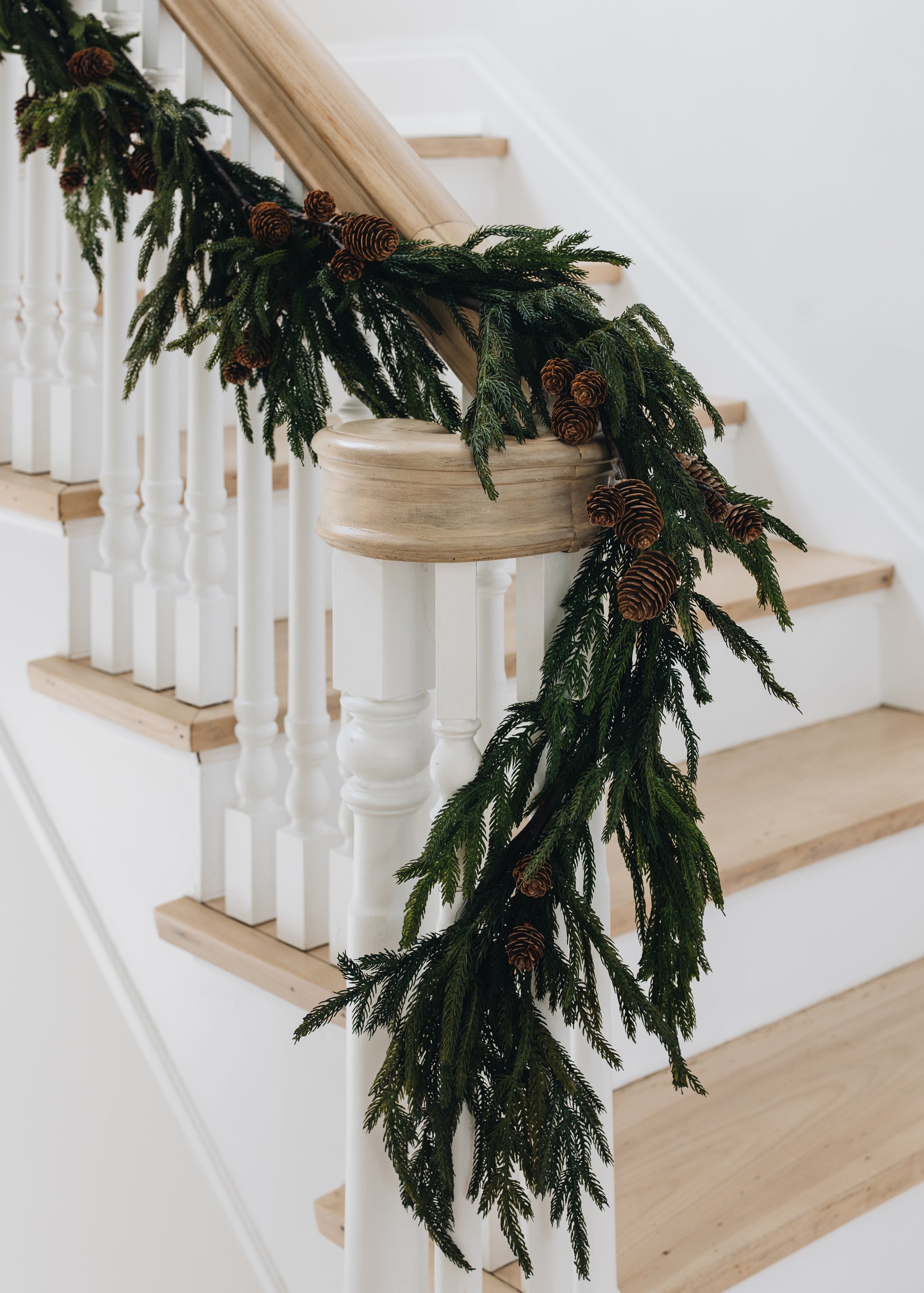 Ghirlanda Natalizia Norfolk Pine Pattyx In Pe Effetto Real Touch Da 270 Cm 97527376 Ghirlanda Natalizia Norfolk Pine Pattyx In Pe Effetto Real Touch Da 270 Cm 97527376