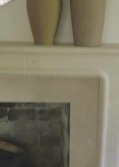 Styled Artificial Fig Branches in Afloral Video
