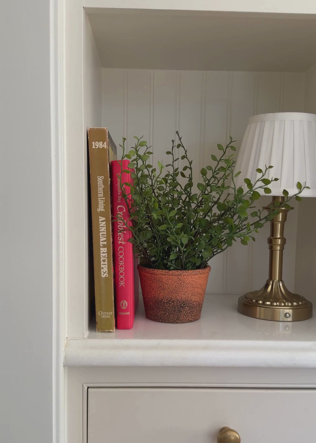Video of a Small Artificial Plant Maidenhair Creeping Vine in Pot 