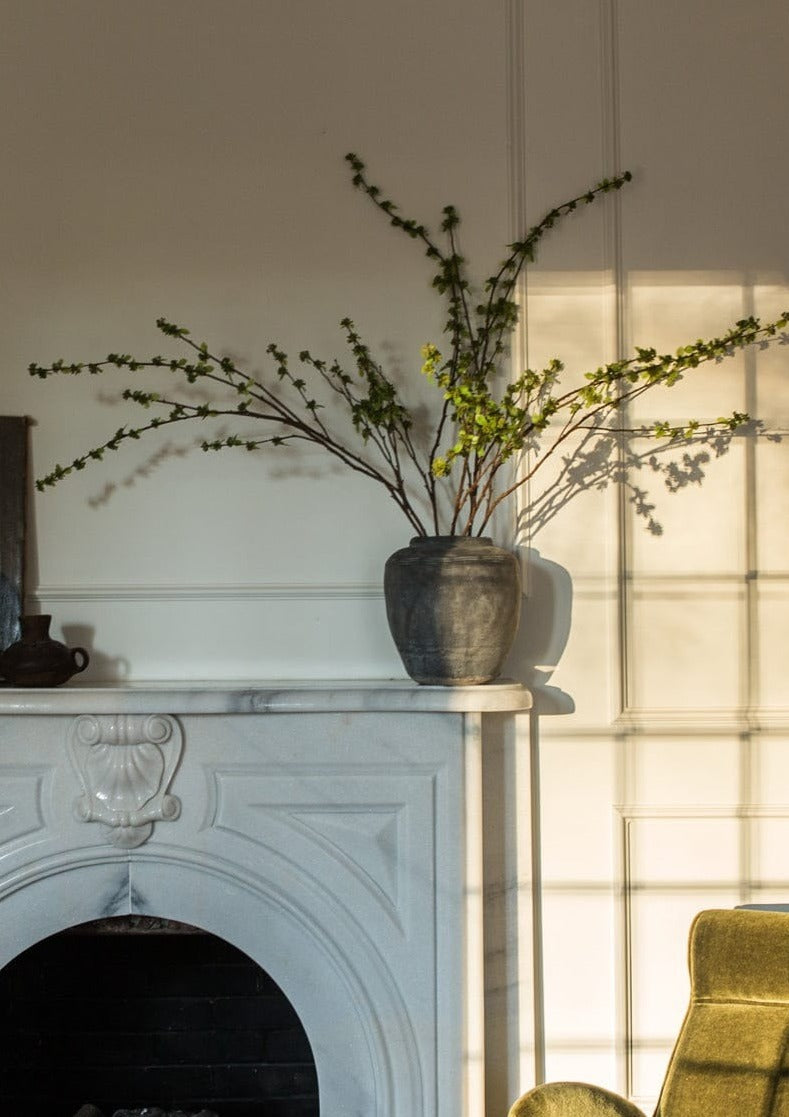 distressed vase with indoor plant Clay Vase in Concrete Grey