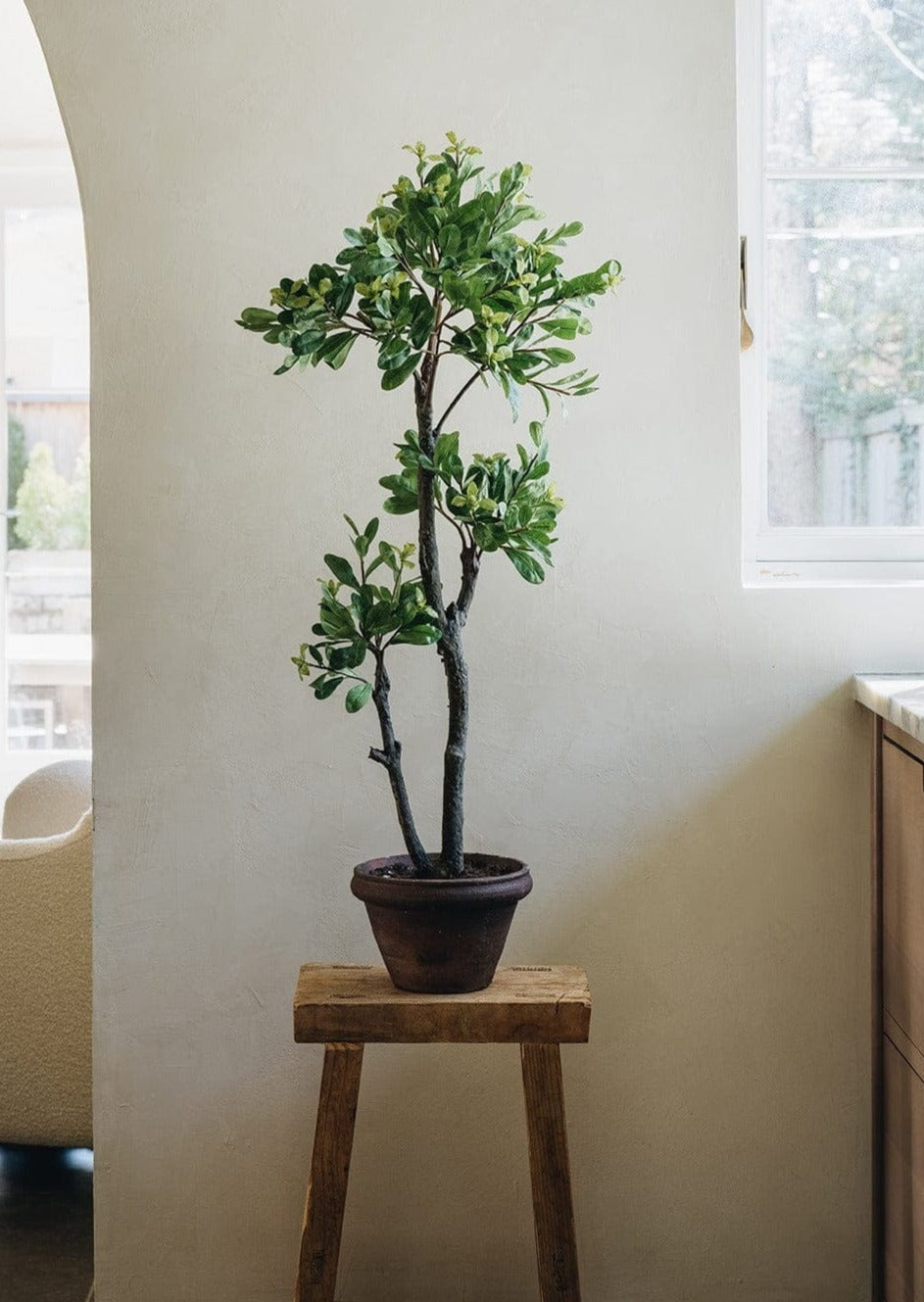 Styling Video of Fake Japonicus Plant in Pot from afloral