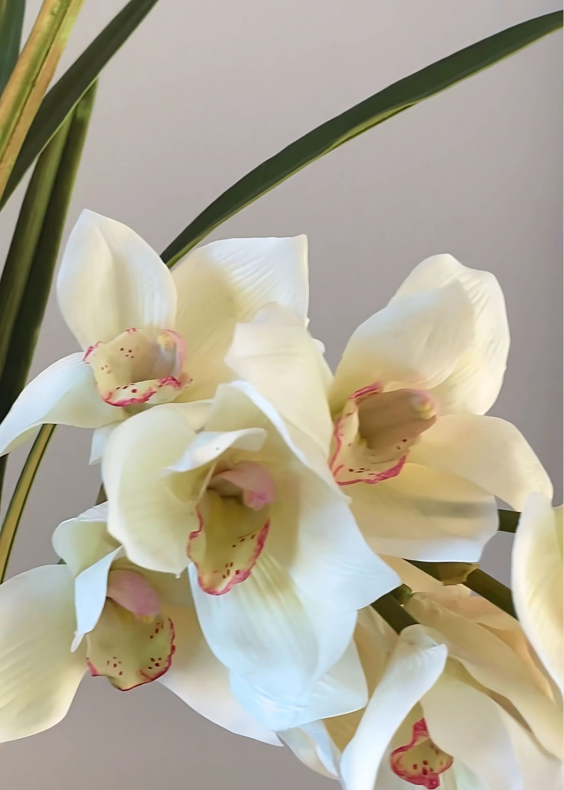 artificial orchid plants in pots Cymbidium Floral Arrangement in Pot Flower Color: White