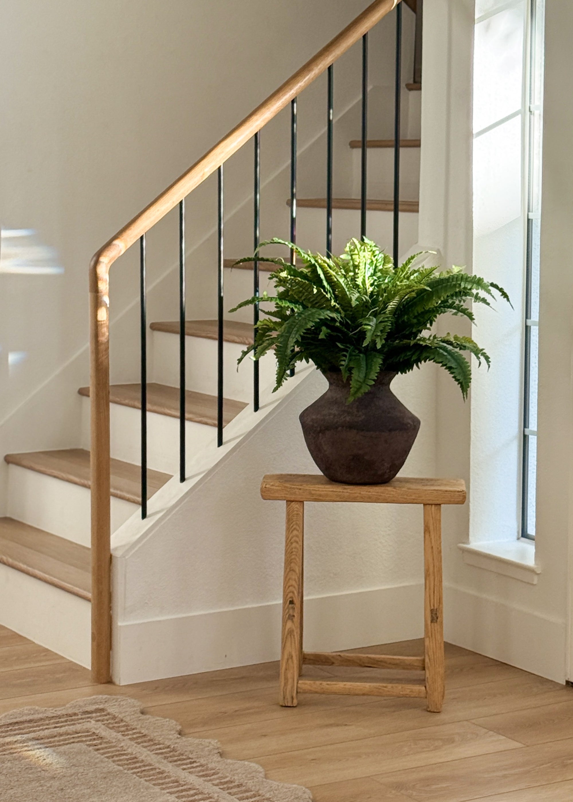styling two boston ferns