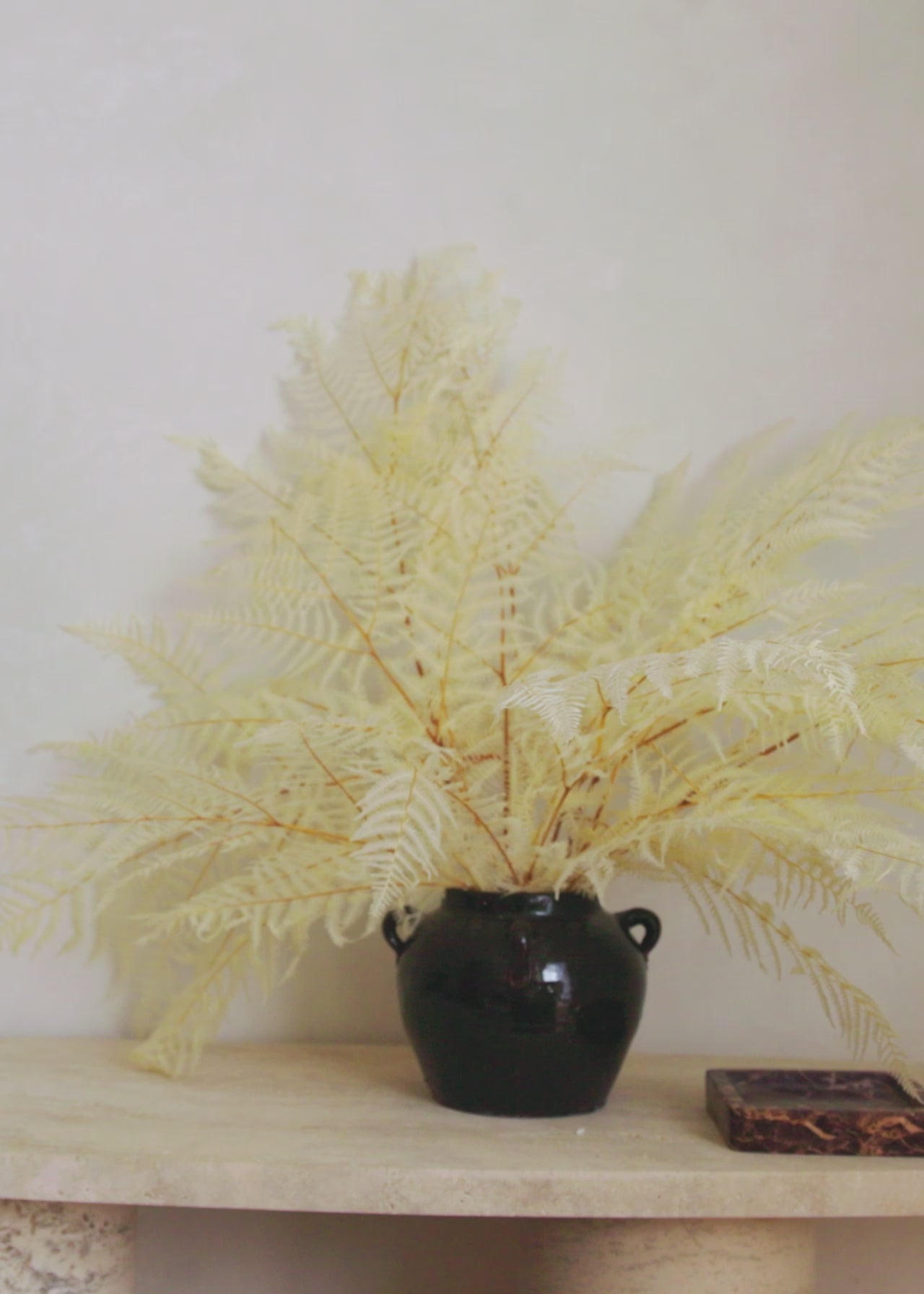 Vase Styling with Bleached White Dried Ferns in Afloral Video