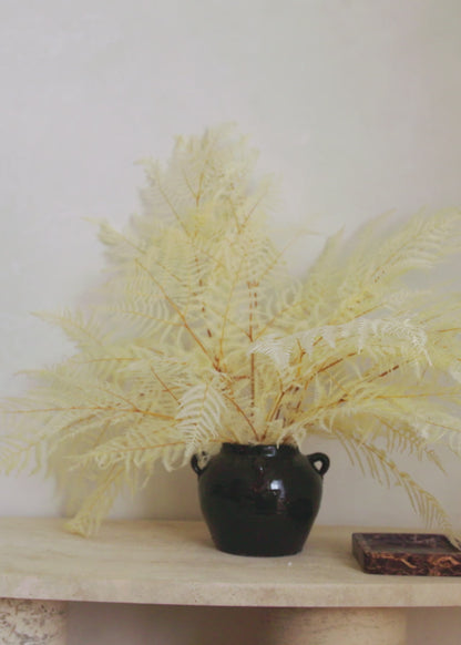 Vase Styling with Bleached White Dried Ferns in Video