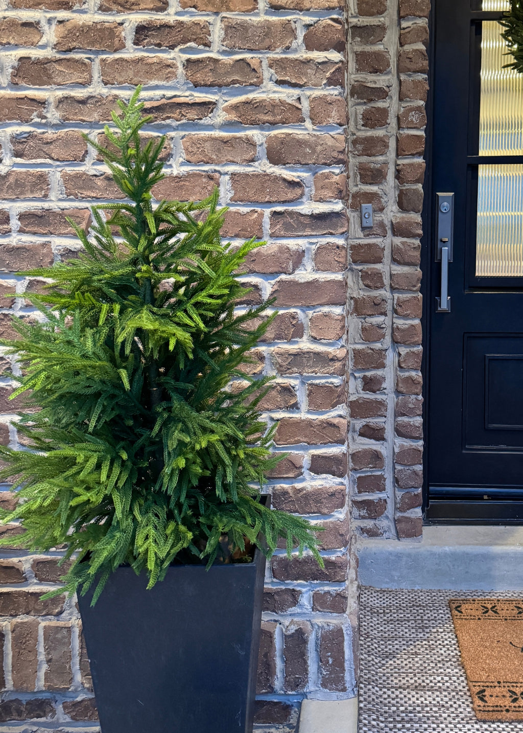 artificial norfolk pine tree