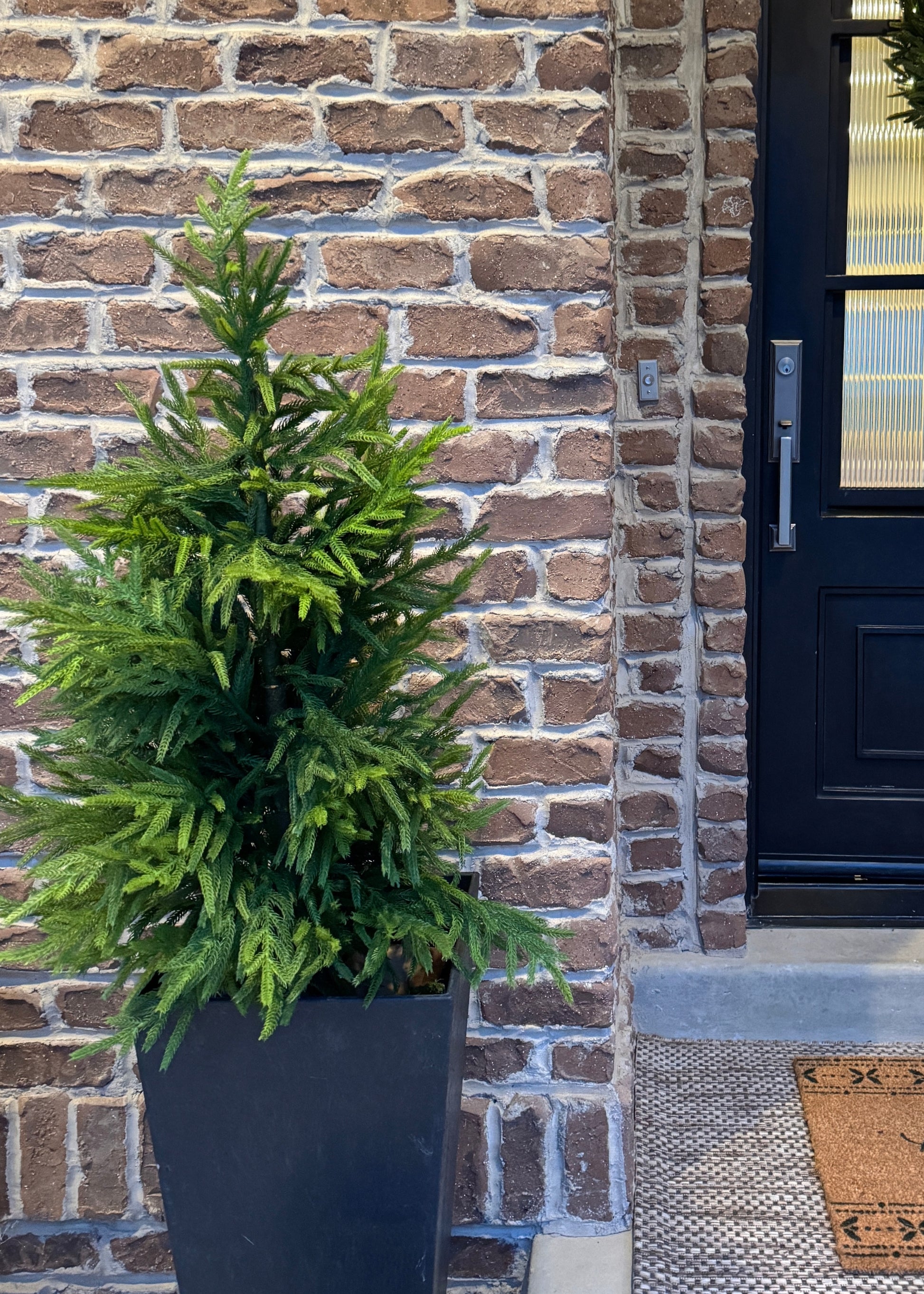 artificial norfolk pine tree