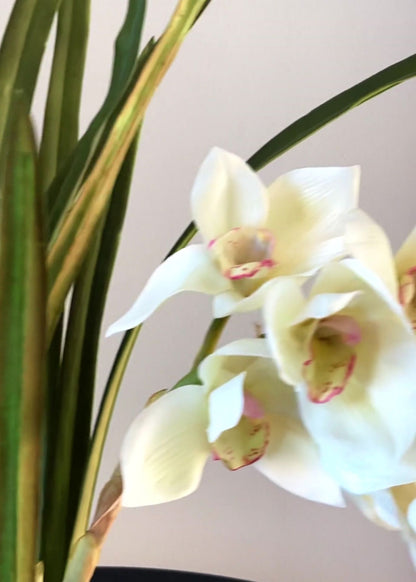 Artificial Orchid Arrangement in Pot