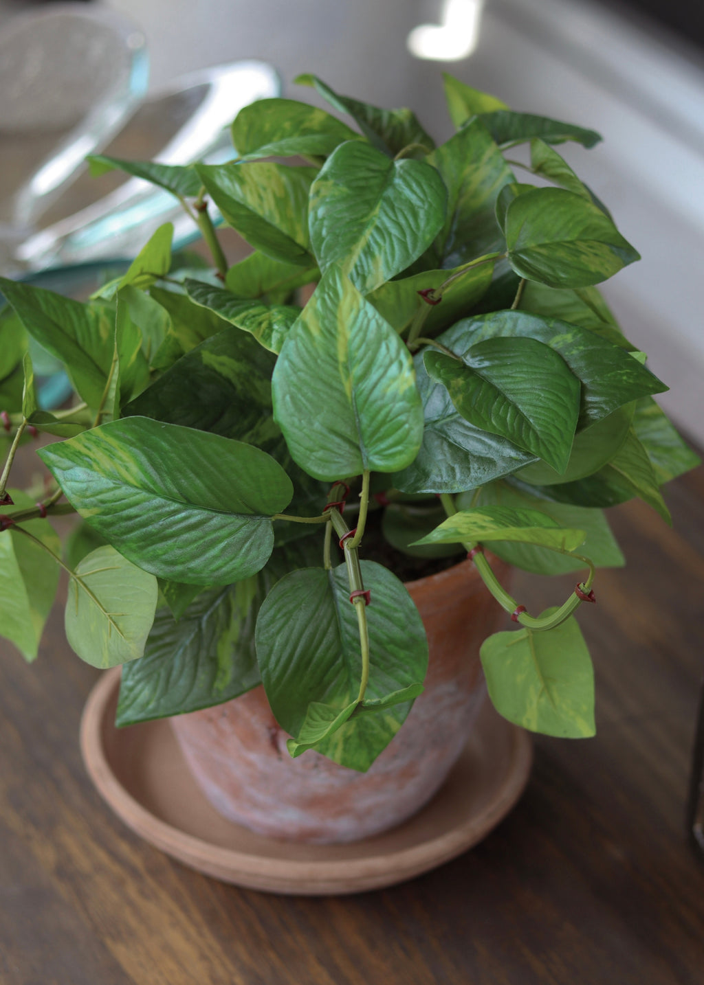 plant pot for pothos Real Touch Pothos in Pot | Outdoor UV Treated Fake Plants