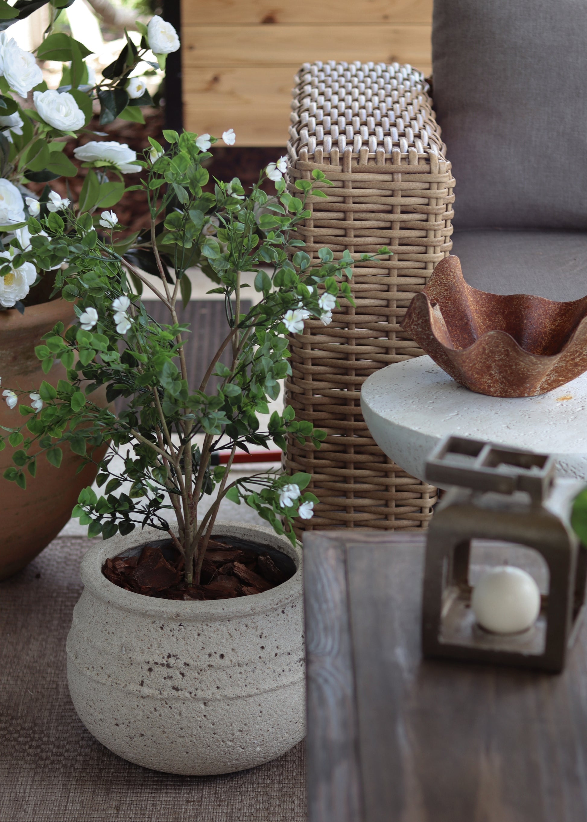 video of styling a
 blossoming potted plant from afloral