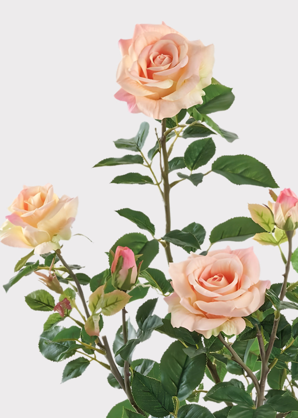close-up of artificial roses