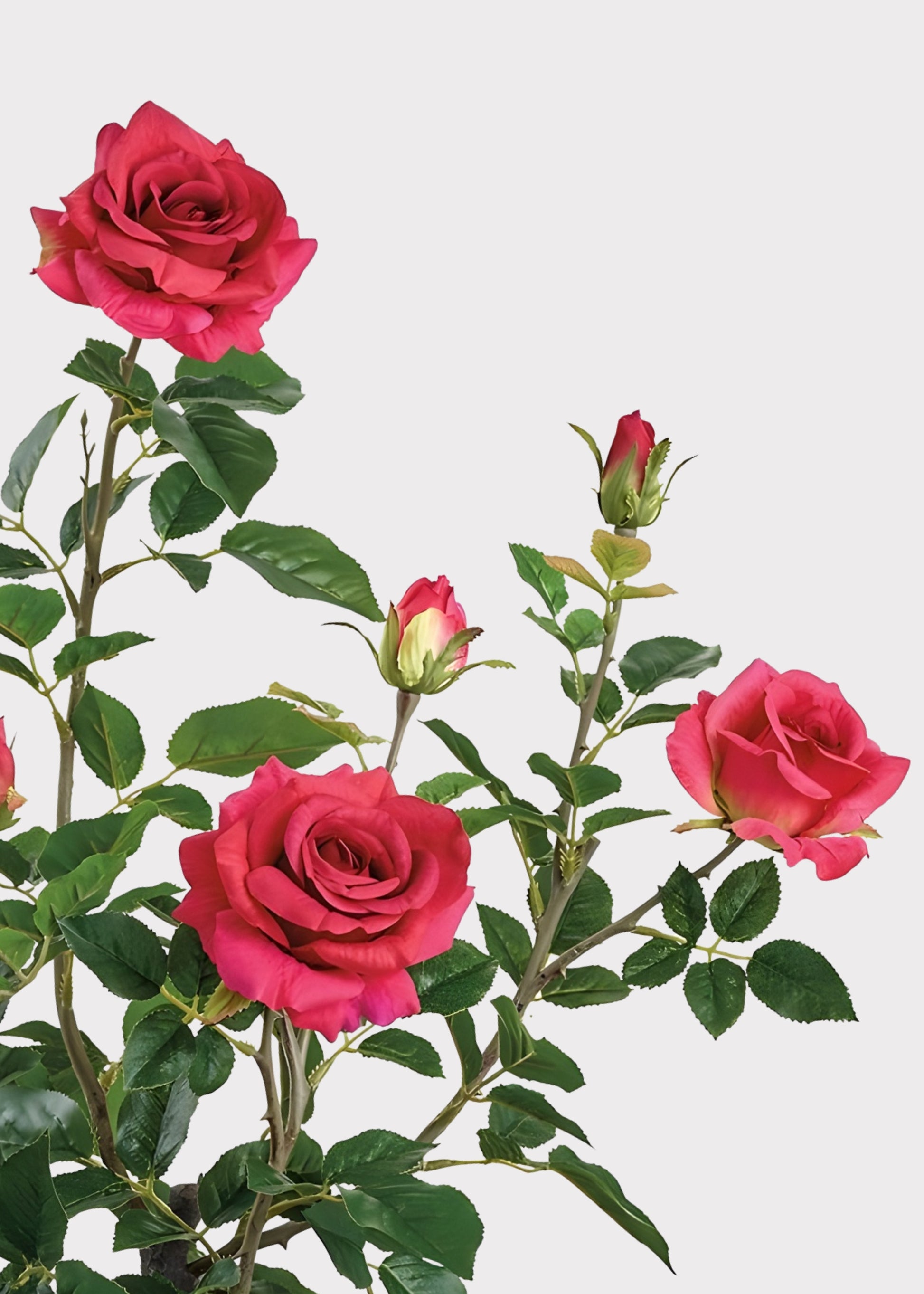 close-up of red artificial roses