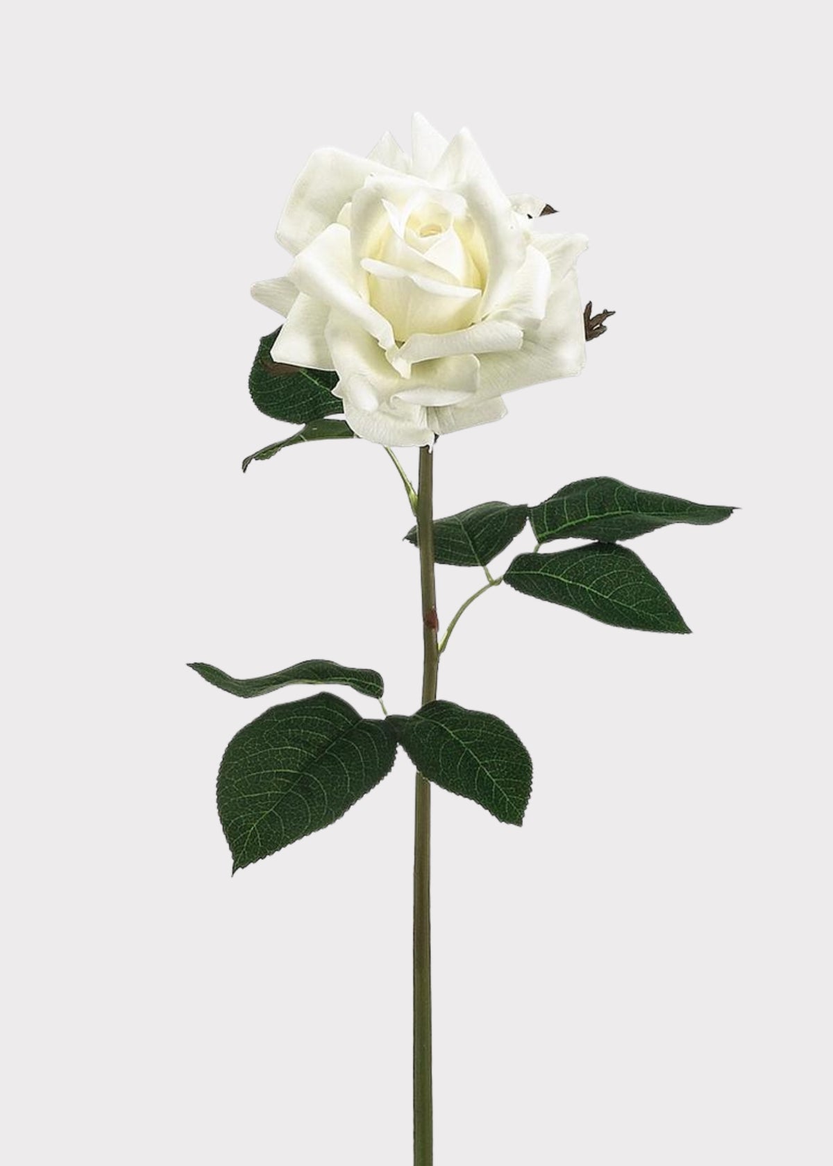 Fake Rose Real Touch Flower in White
