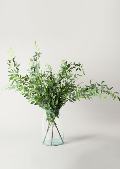 Artificial Italian Ruscus Stems in Clear Vase