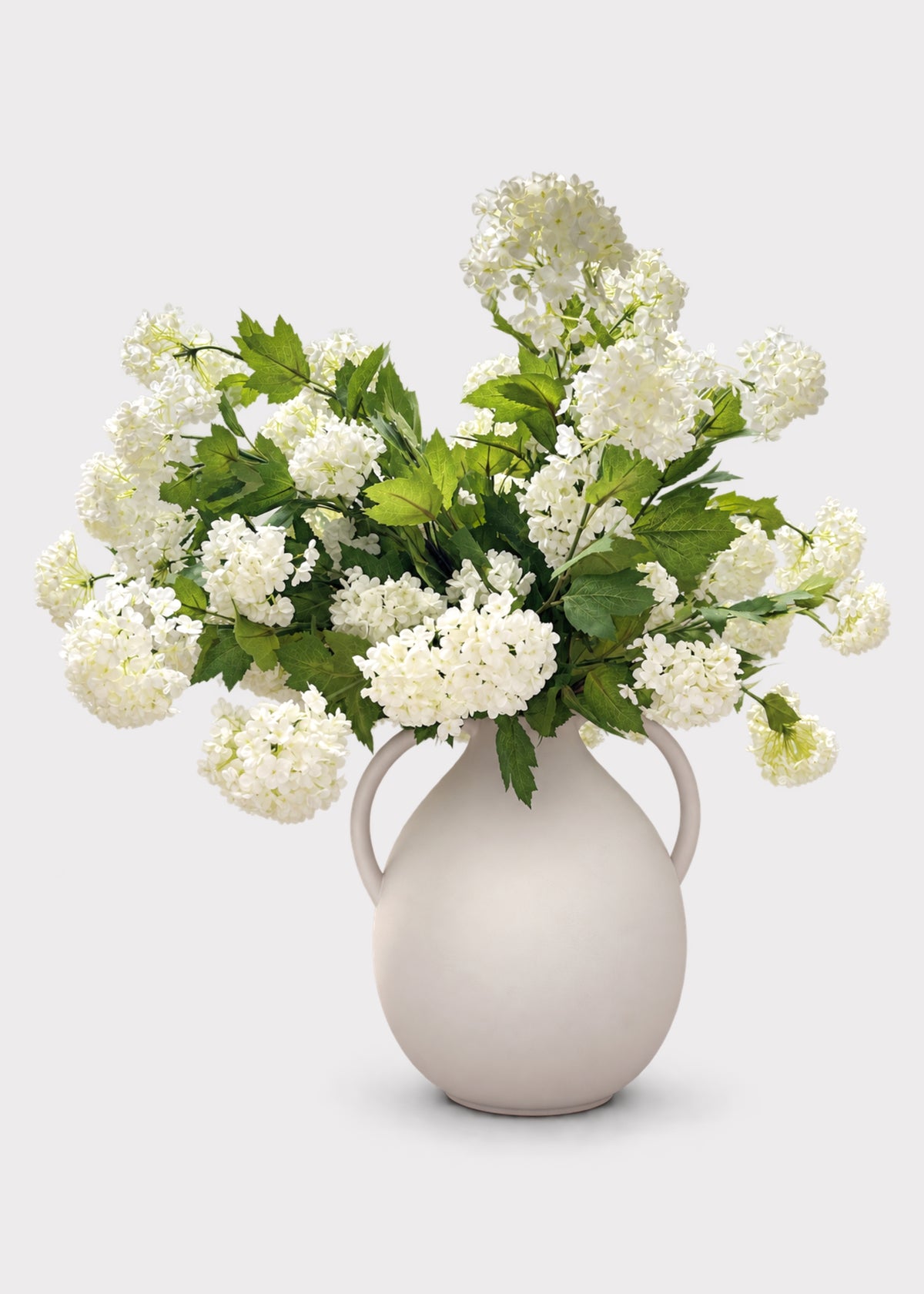 Deluxe White Snowball Viburnum & Afloral™ Jug Vase Arrangement