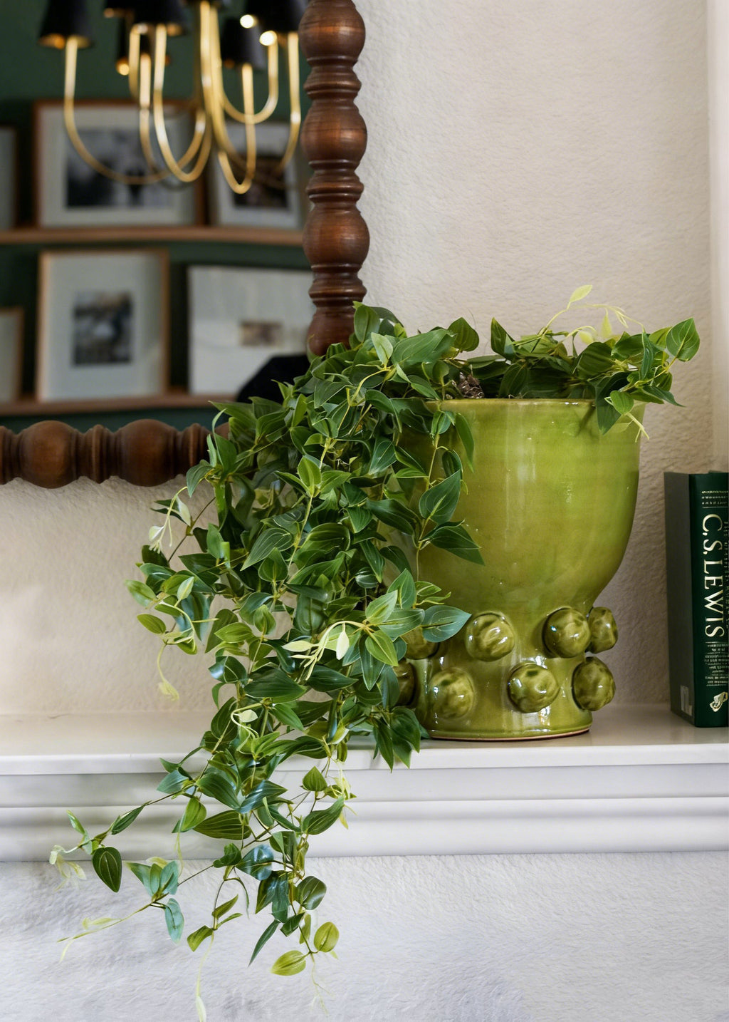 Hanging Deluxe Tradescantia with Green Hobnail Houseplant Design